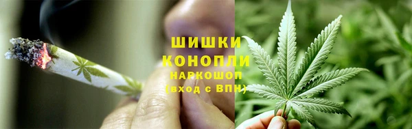ПСИЛОЦИБИНОВЫЕ ГРИБЫ Беломорск