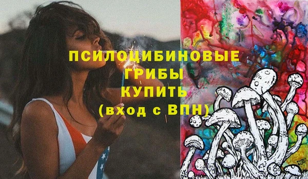 ПСИЛОЦИБИНОВЫЕ ГРИБЫ Беломорск