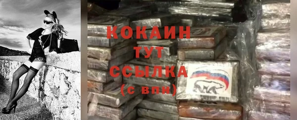 дживик Белокуриха
