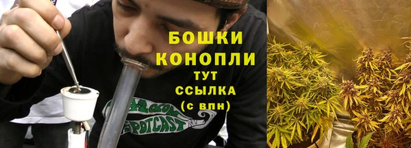 дживик Белокуриха