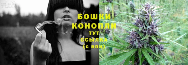 дживик Белокуриха