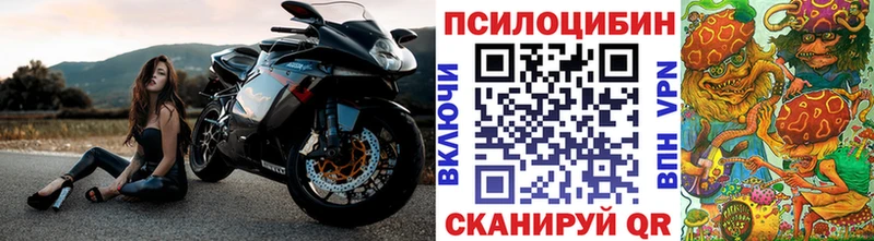 Галлюциногенные грибы мицелий  Нижнеудинск 