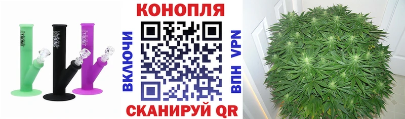 blacksprut   купить  цена  Нижнеудинск  МАРИХУАНА планчик 